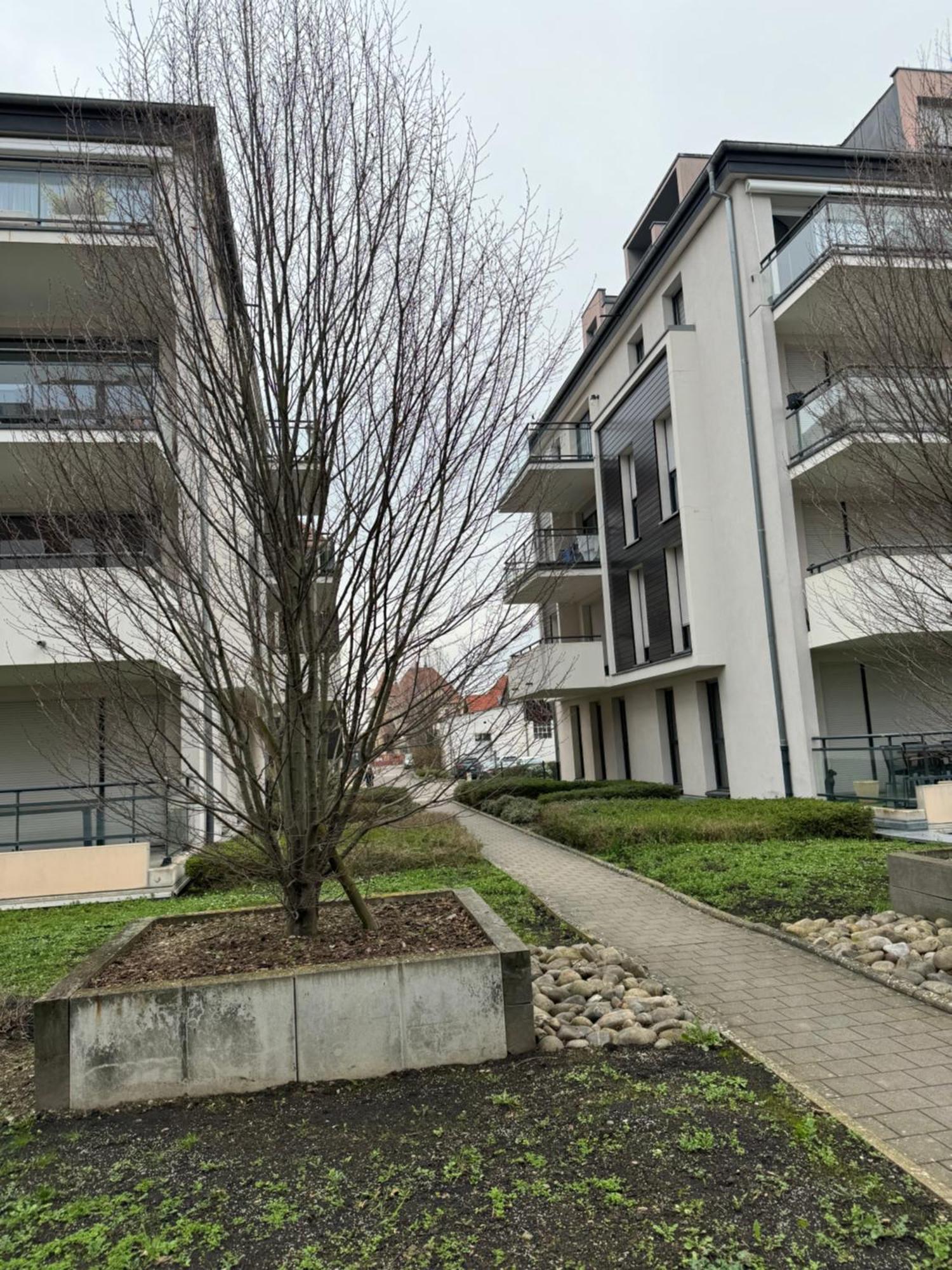 Appartamento Le "Petit Colmarien" A 1Mn Du Centre Esterno foto
