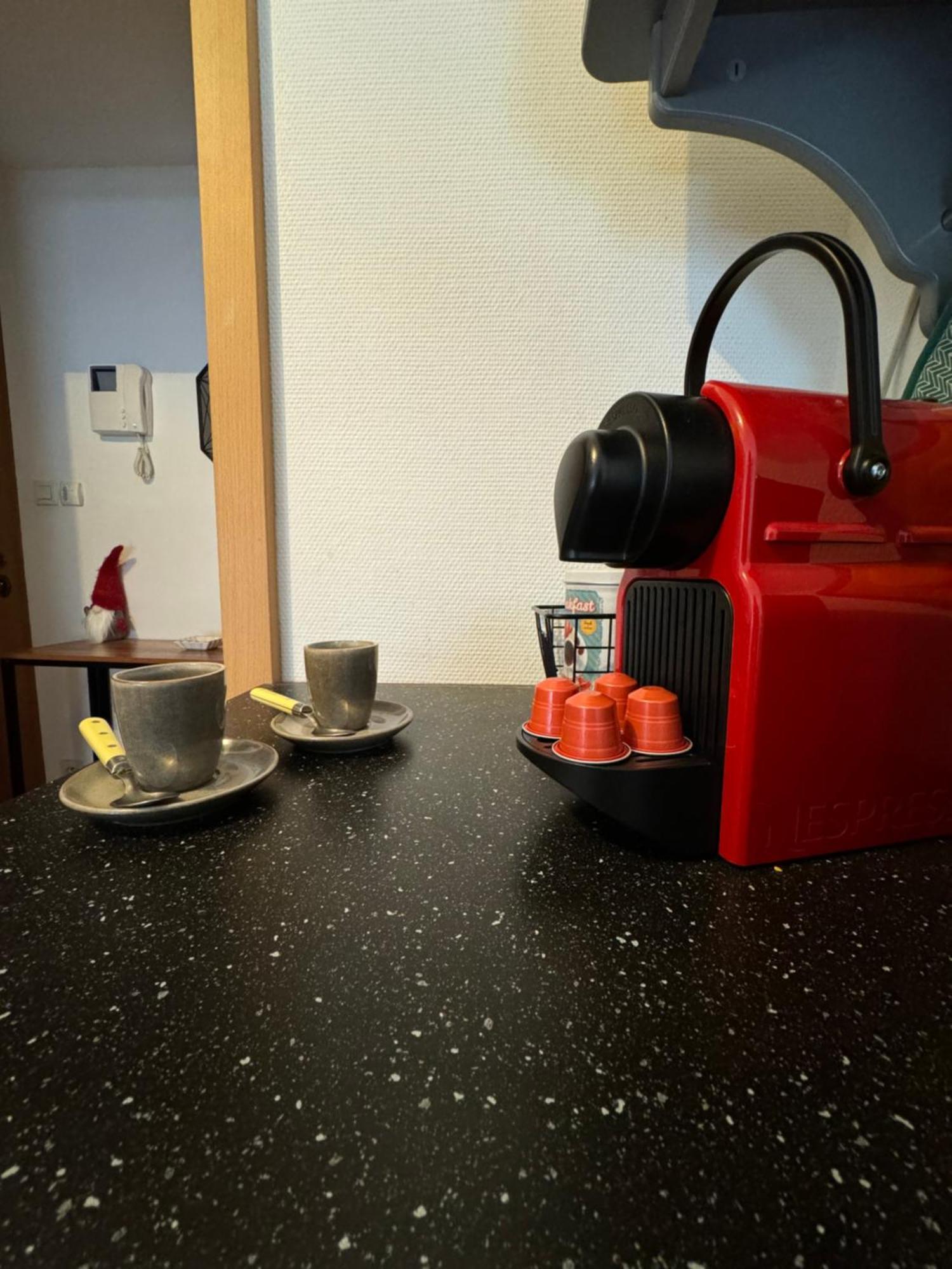Appartamento Le "Petit Colmarien" A 1Mn Du Centre Esterno foto